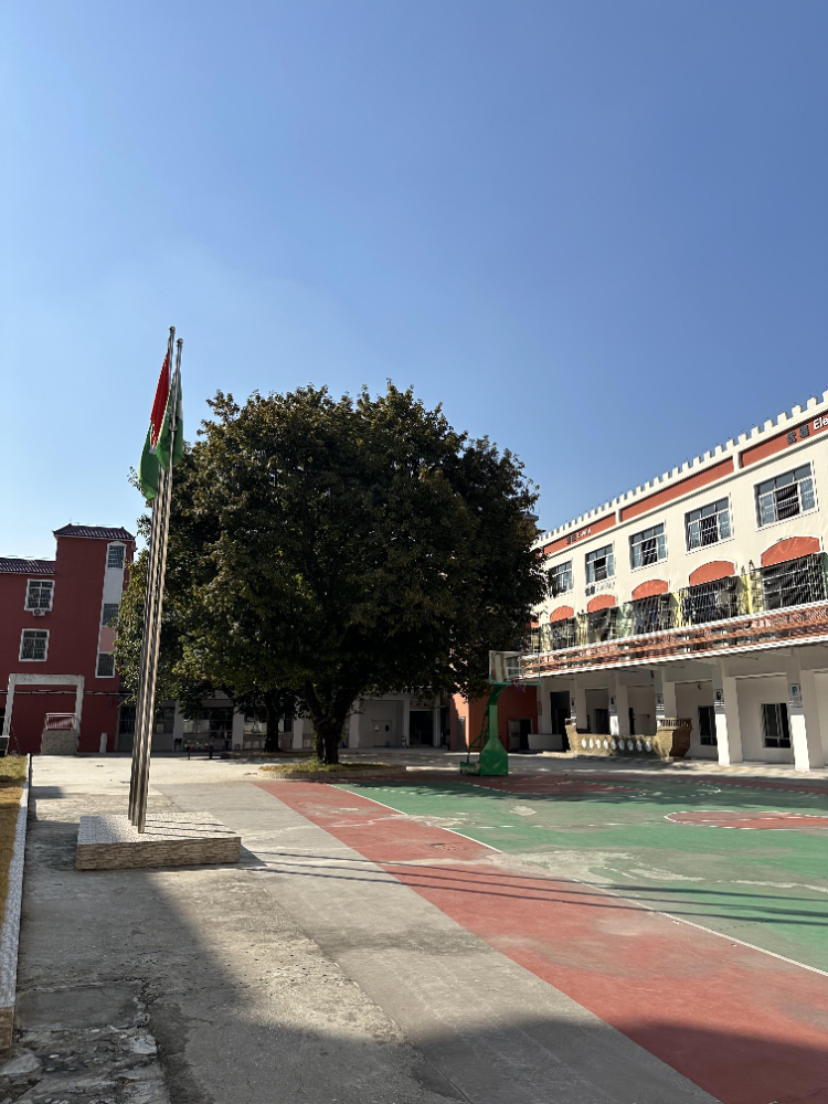广东省广州学生亲情冷漠管教学校——树同教育带来温暖转变