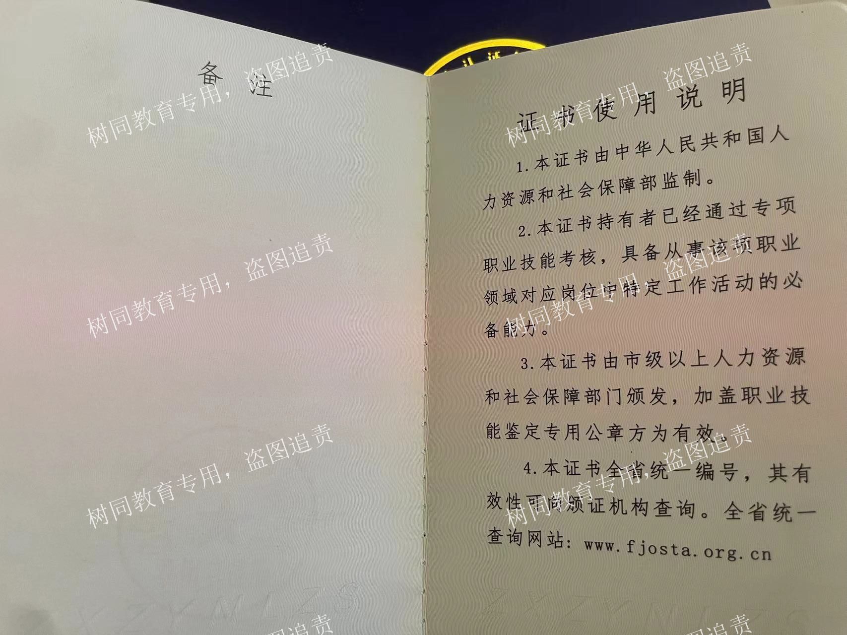 深圳市罗湖区早恋管教学校学费包含哪些？树同教育收费透明解析