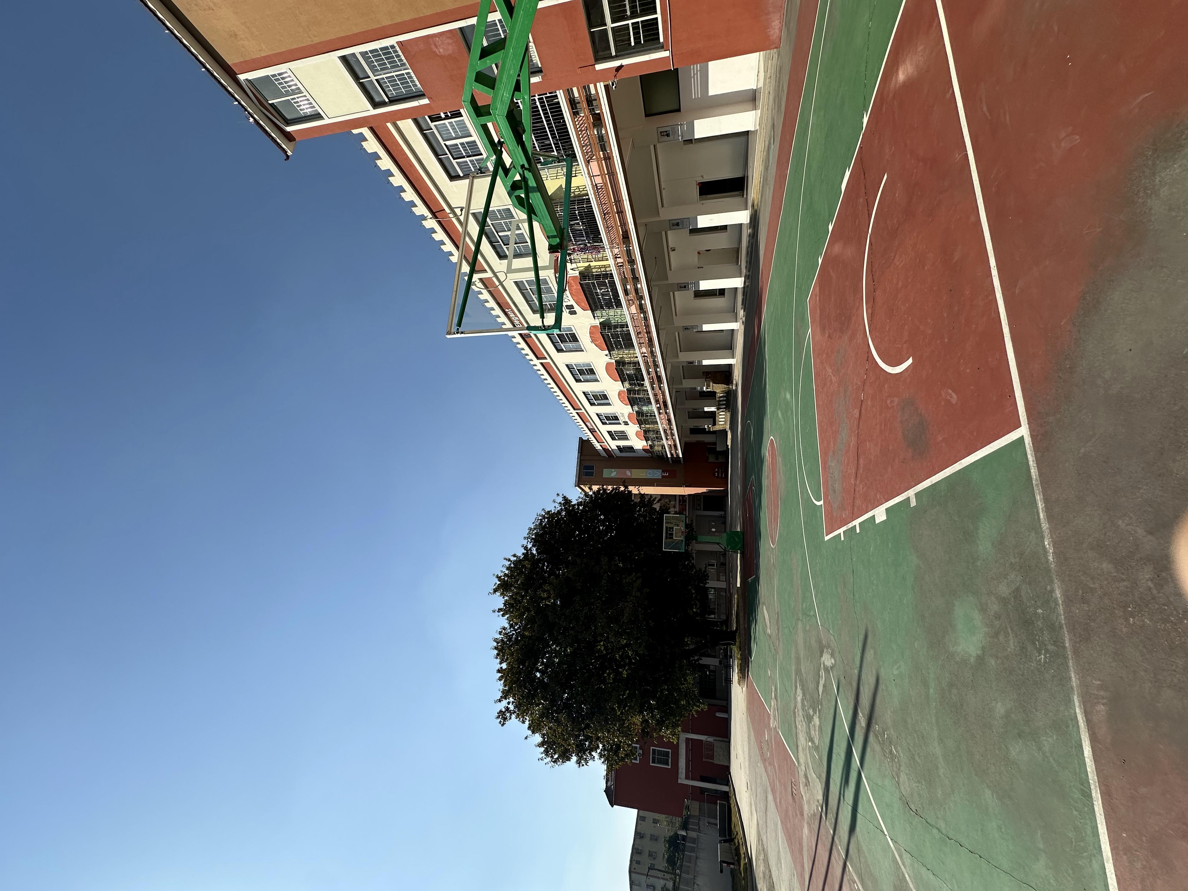 番禺区叛逆教育学校怎么选？树同教育如何破解家长最担心的难题