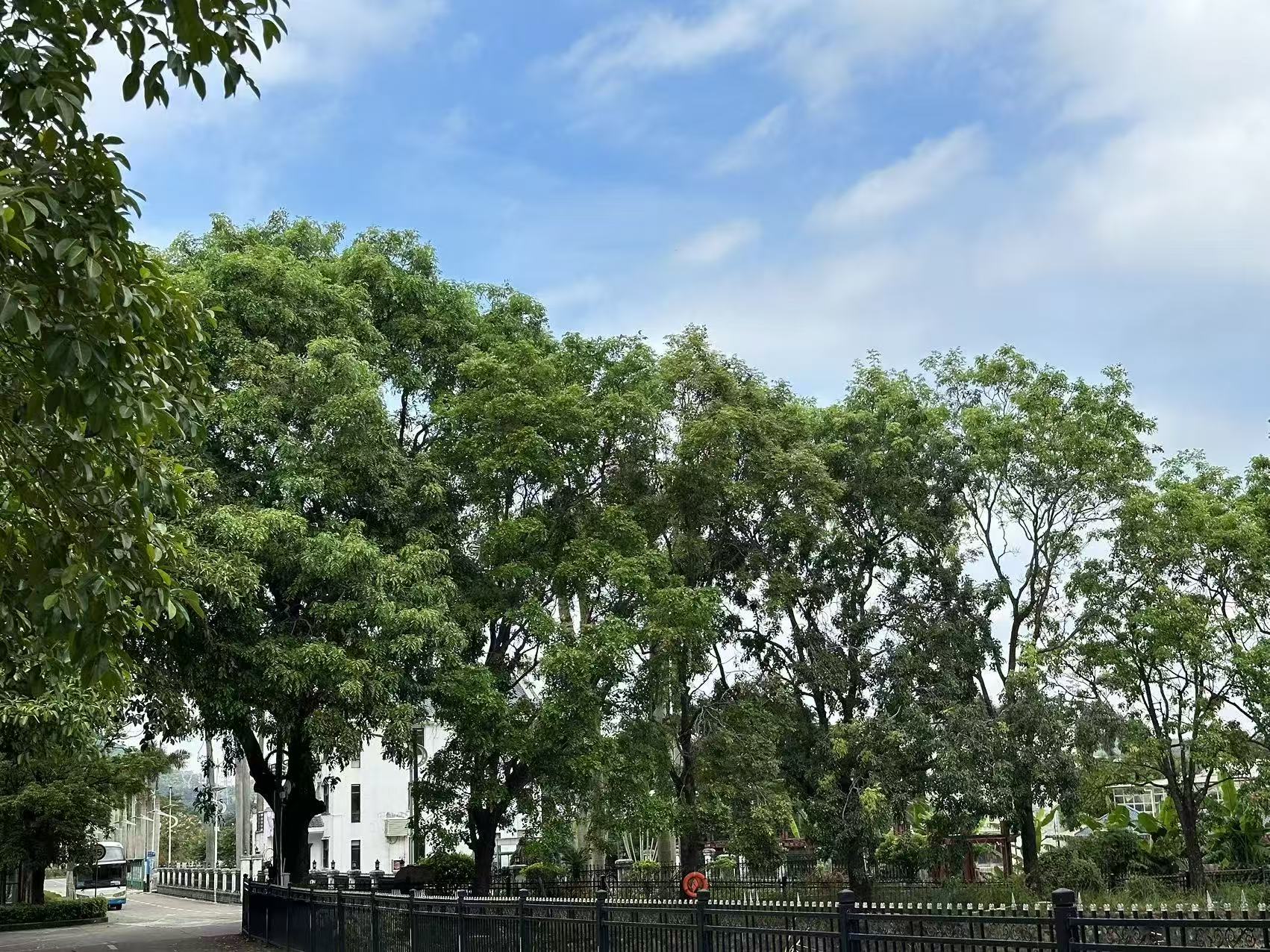 汕尾市家长如何评估青少年心理支持学费与服务匹配度